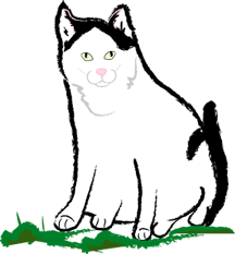 cat