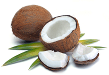 coconut