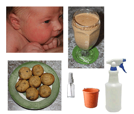 recipes
